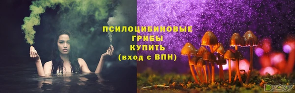 мяу мяу мука Аркадак