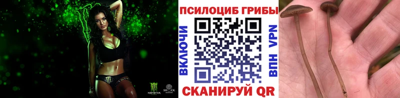 Псилоцибиновые грибы Magic Shrooms  дарнет шоп  Сибай 